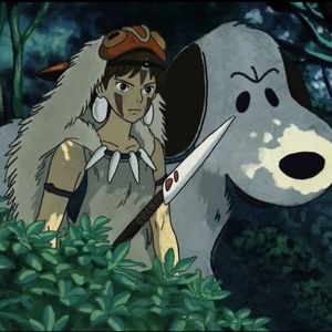 Meet your Posher, Rory